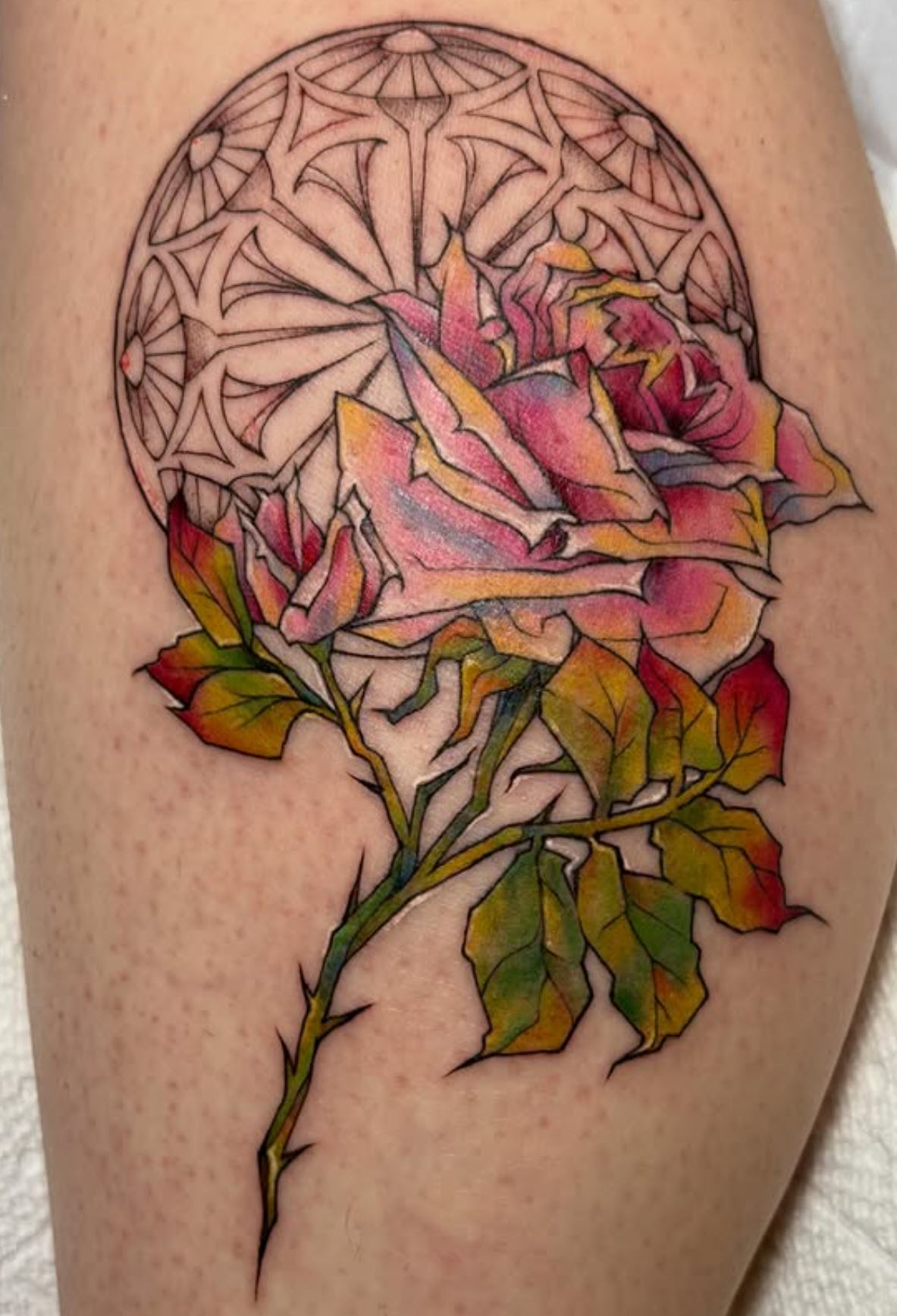 Rose with geometric mandala in color